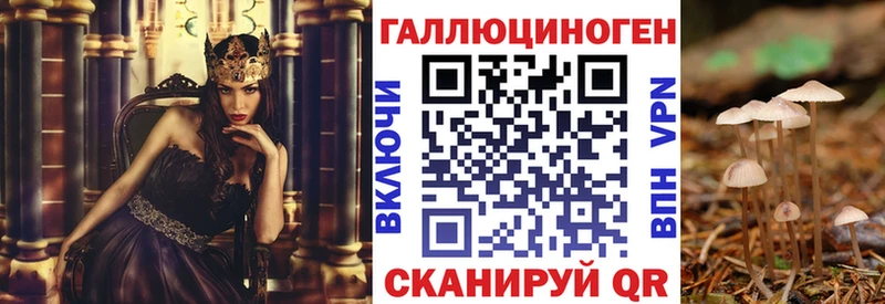как найти наркотики  Сясьстрой  Галлюциногенные грибы Magic Shrooms 